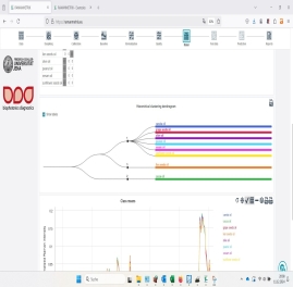 RAMANMETRIX Online