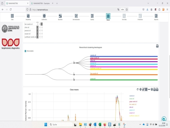 RAMANMETRIX Online